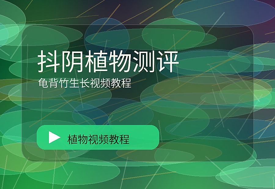 草路自然