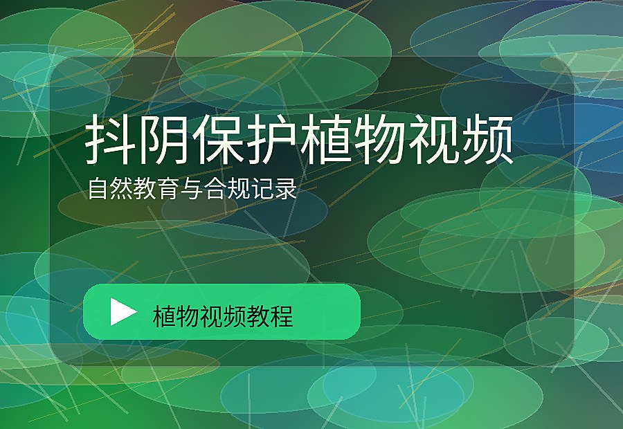 草路自然